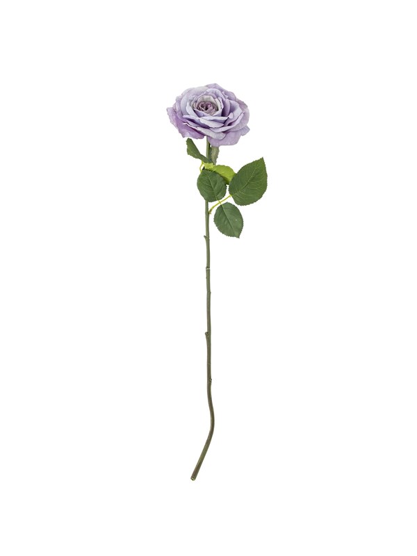 Bloomingville Rose
