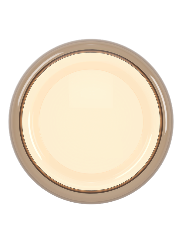 EGLO CONISTARINO PLAFOND Ø:400 CCT VIT/BRUN-TRANSP.