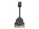 Displaykabel - HP DisplayPort till DVI-D-kabel - FH973AA