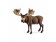 Schleich - Schleich Älgtjur - 14781