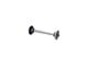 Skrivare tillbehör - Epson 2"/3" - printer dual roll feed spindle - C12C811251