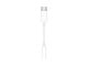 Andra mobiltillbehör - Apple Adapter för usb-c till 3,5 mm hörlursuttag - MW2Q3ZM/A