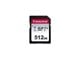 TS512GSDC300S