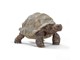 Schleich - Schleich Jättesköldpadda - 14824