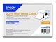 Papper, Fotopapper & Etiketter - Epson BOPP - continuous labels - 4 roll(s) - Roll (20.3 cm x 68 m) - C33S045736