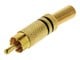 CAGP24900BK