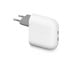 Mobile - Adapters & Chargers - Google 67W Pixel Flex Dual Port USB-C Fast Charger - GA09856-EU