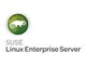 Operativsystem - Hewlett Packard Enterprise SuSE Linux Enterprise Server Elektronisk nedladdning - R8V75AAE