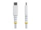 USB2CC30CMNCBRWH