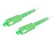 FO-SASA-SS21-0250-WH