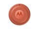 Andra mobiltillbehör - Motorola moto tag 2 - PANTONE Arabesque (1x) - PG38C08027