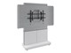 FM-DS-6675FS-D8W
