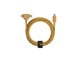 BELT-CCL-KFT-NP