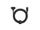 BELT-PROCCL-COS-NP