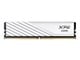 AX5U6000C3616G-DTLABWH