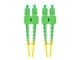 FO-SASA-SD11-0100-YE