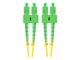 FO-SASA-SD11-0150-YE