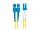 FO-SULU-SD11-0010-YE