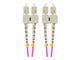 FO-SUSU-MD41-0050-VT