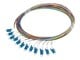 FP-LCUP-SS21-1202-MC