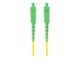 FO-SASA-SS11-0010-YE