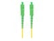 FO-SASA-SS11-0030-YE