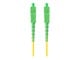 FO-SASA-SS11-0020-YE