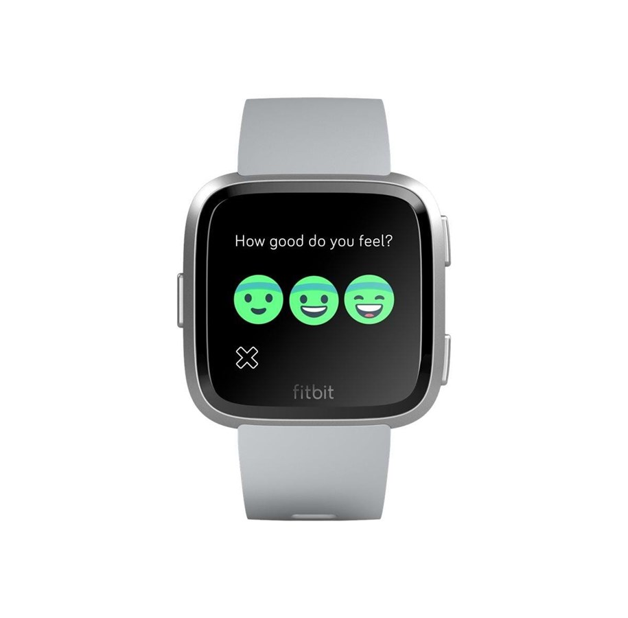 Pulsmätare & Stegräknare - Fitbit Versa - one size - grey/silver - FB505SRGY-EU