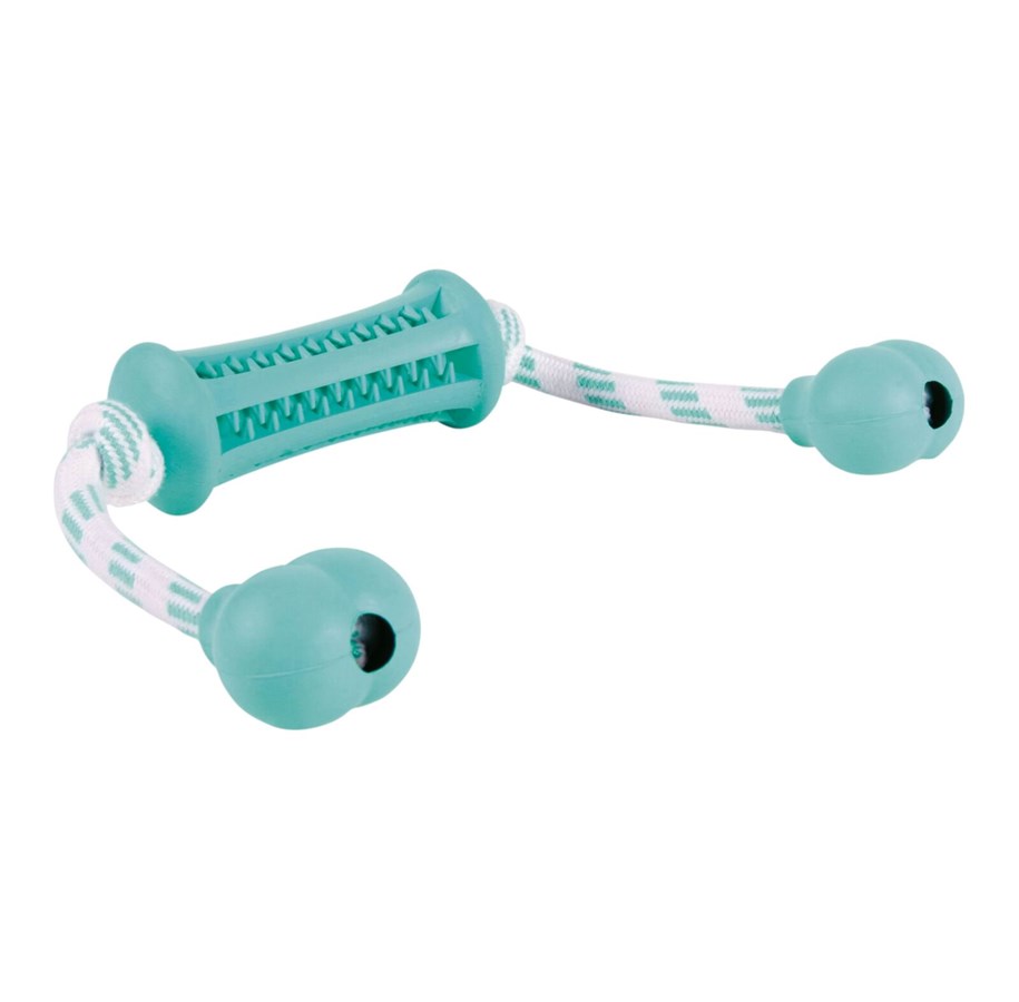 Hundar - Trixie Denta Fun Stick with Rope - Mint Flavour 9x37cm - TX33771