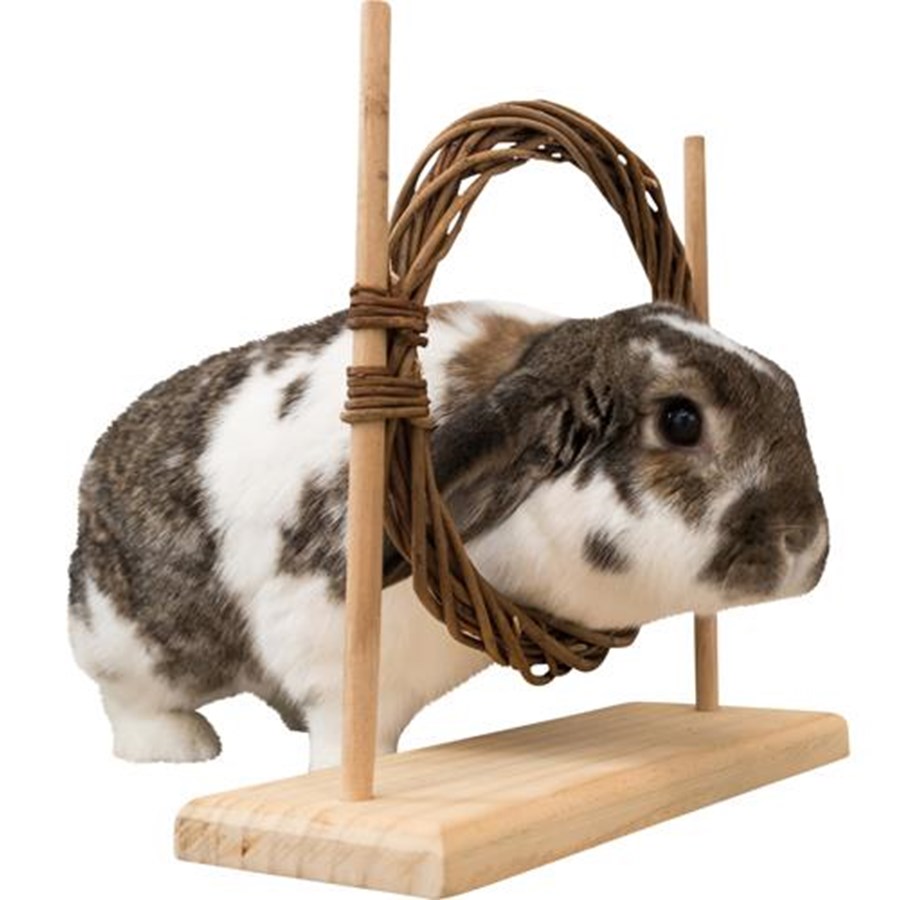 Gnagare - Trixie Smådjurs Agility Set med Ring & Hinder för Råttor Dvärgkaniner 28x26x11cm - TX61910