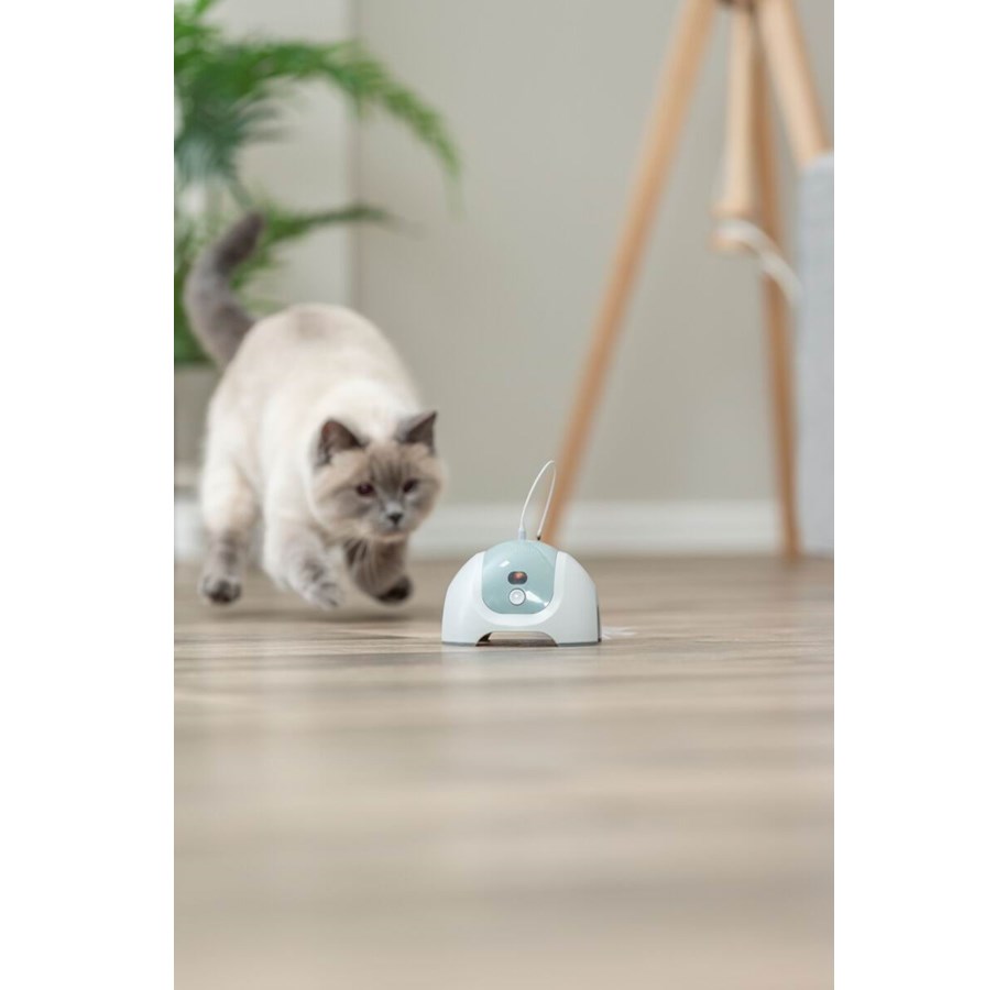 Katter - Trixie Catch Me Interaktiv kattleksak med fjärrkontroll - 4567