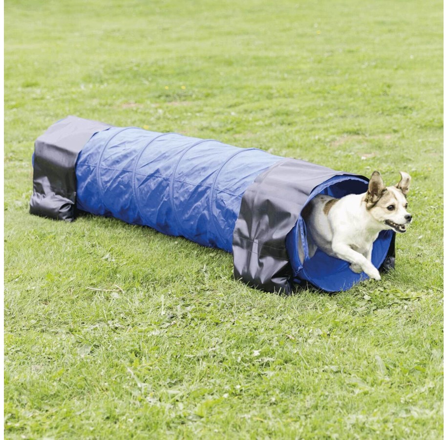 Hundar - Trixie Fun Agility Mini Tunnel 40cm x 2m - TX3210