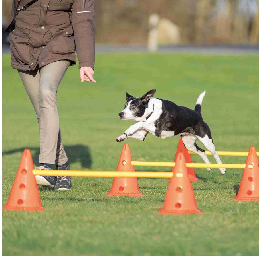 Hundar - Trixie Hundträning Pylon Hinderbaneset (6 Pyloner - 3 Stänger) - TX32091