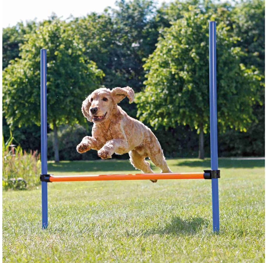 Hundar - Trixie Dog Fun Agility Hurdle 123x115cm - TX3207