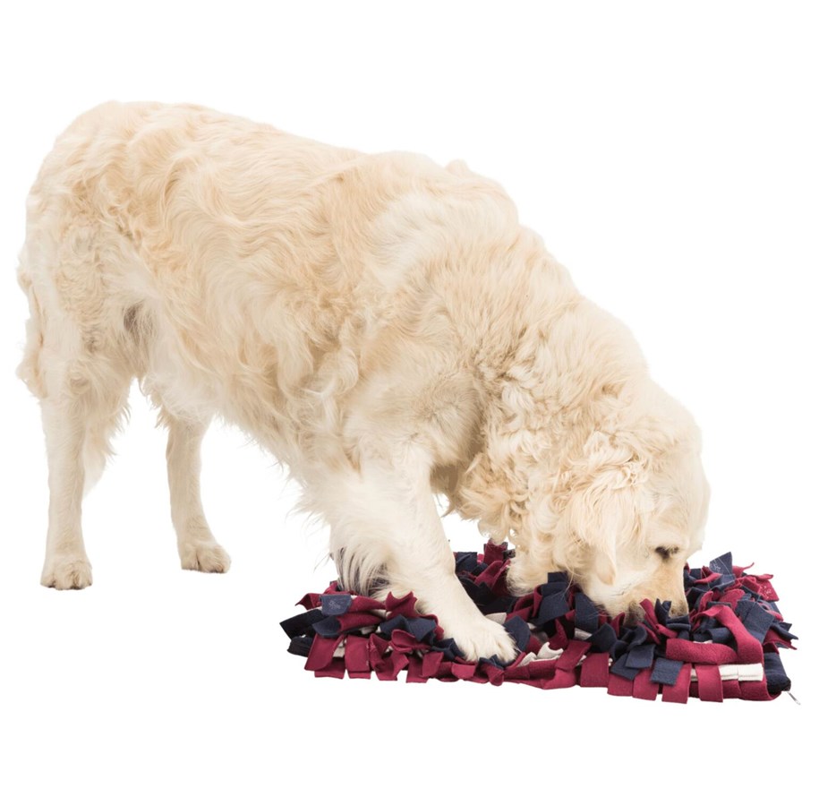 Hundar - Trixie Dog Activity Sniffing Carpet Strategy Game 50x34cm - TX32037