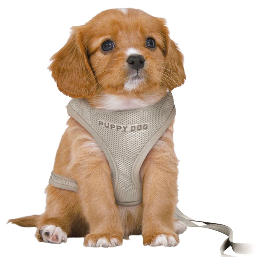 Hundar - Trixie Junior Puppy Mjuksele med Koppel Storlek S-M Magomfång 26-34cm - TX15560