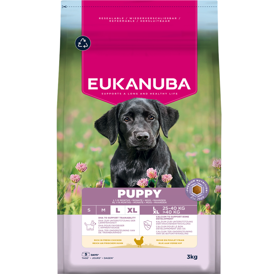 Hundar - Eukanuba Puppy Large Breed Fresh Chicken 3kg - EH030300