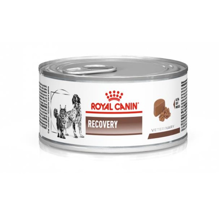 Hundar - Royal Canin Vet Recovery Canine/Feline 195g - 9003579307717