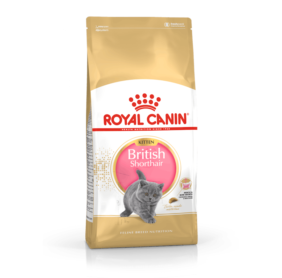 Katter - Royal Canin British Shorthair Kitten 400g - 3182550816526