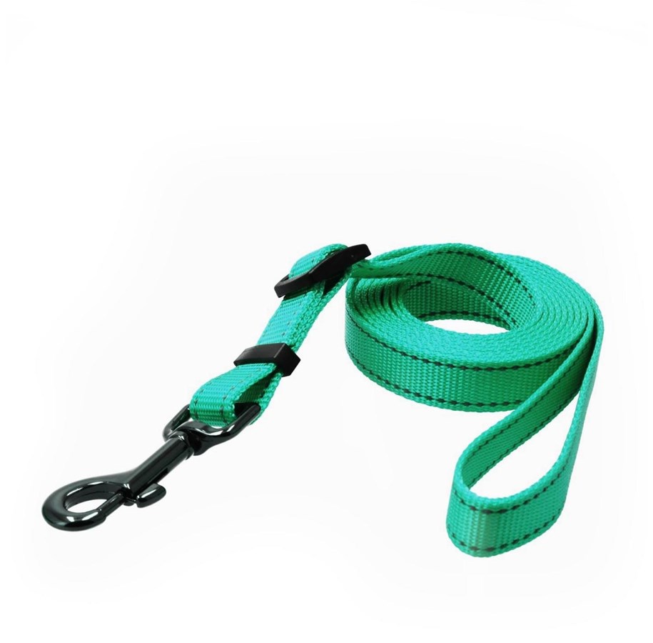 Hundar - Dogman Iris Justerbart Nylon Hundkoppel Cyan Stor 20mm 120-200cm - 223014