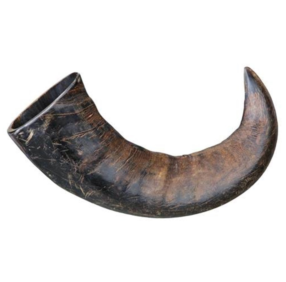 Hundar - Trixie Buffalo Chewing Horn packaged large - TX27743