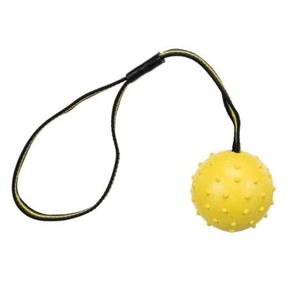 Hundar - Trixie Ball on a Strap ø 6 cm/35 cm assorted colours - TX32820