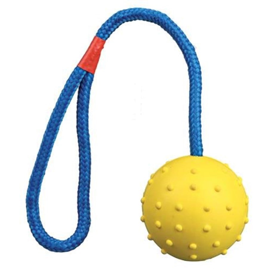Hundar - Trixie Ball on a Rope ø6cm assorted colours - TX3305