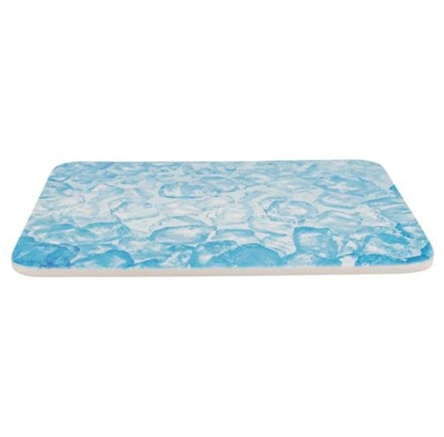 Gnagare - Trixie Cooling Plate 28 × 20 cm blue - TX63010