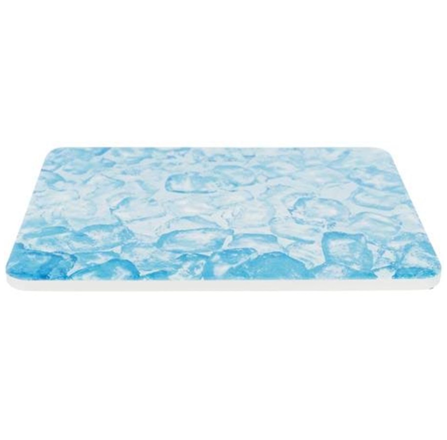 Gnagare - Trixie Cooling Plate 20x15 cm blue - TX63011