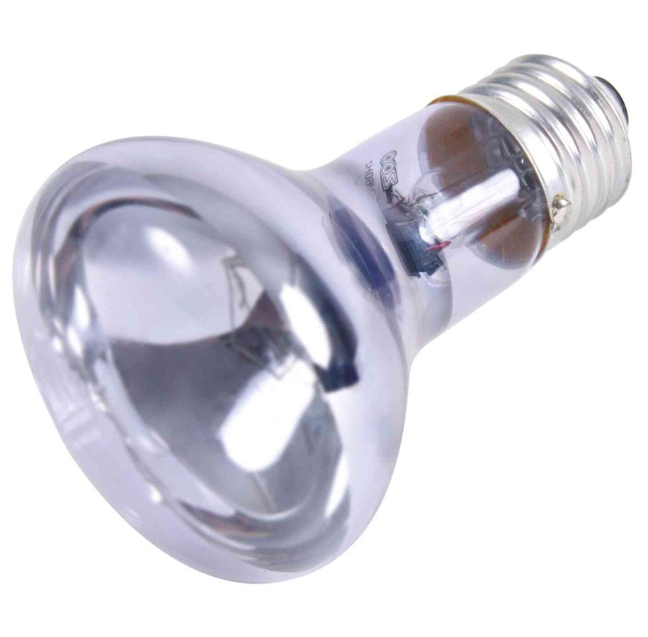 Uppvärmning/Ljus - Trixie Neodymium Basking Spot-Lamp 75W R63 E27 - TX76007