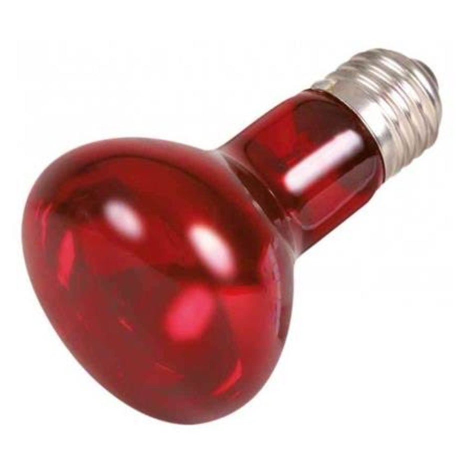 Uppvärmning/Ljus - Trixie Infrared Heat Spot Lamp 35W R63 E27 - TX76094