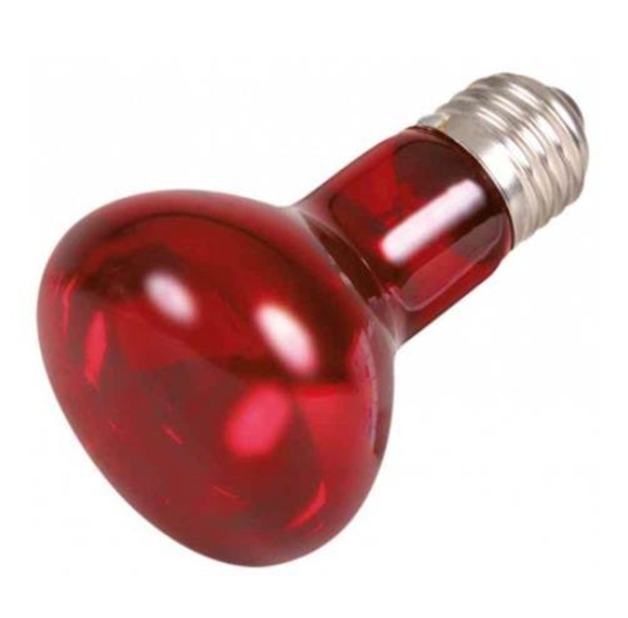 Uppvärmning/Ljus - Trixie Infrared Heat Spot Lamp 75W R63 E27 - TX76096
