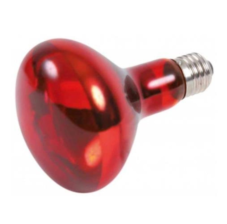 Uppvärmning/Ljus - Trixie Infrared Heat Spot Lamp 100W R80 E27 - TX76097