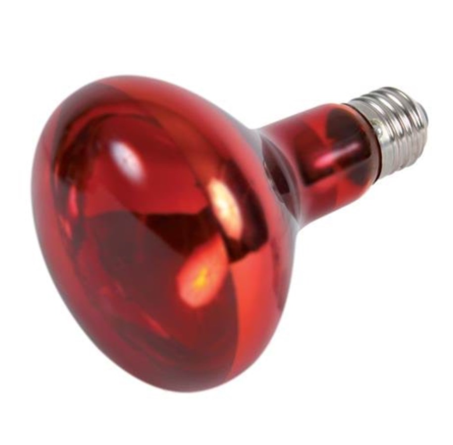 Uppvärmning/Ljus - Trixie Infrared Heat Spot Lamp 150W R95 E27 - TX76098